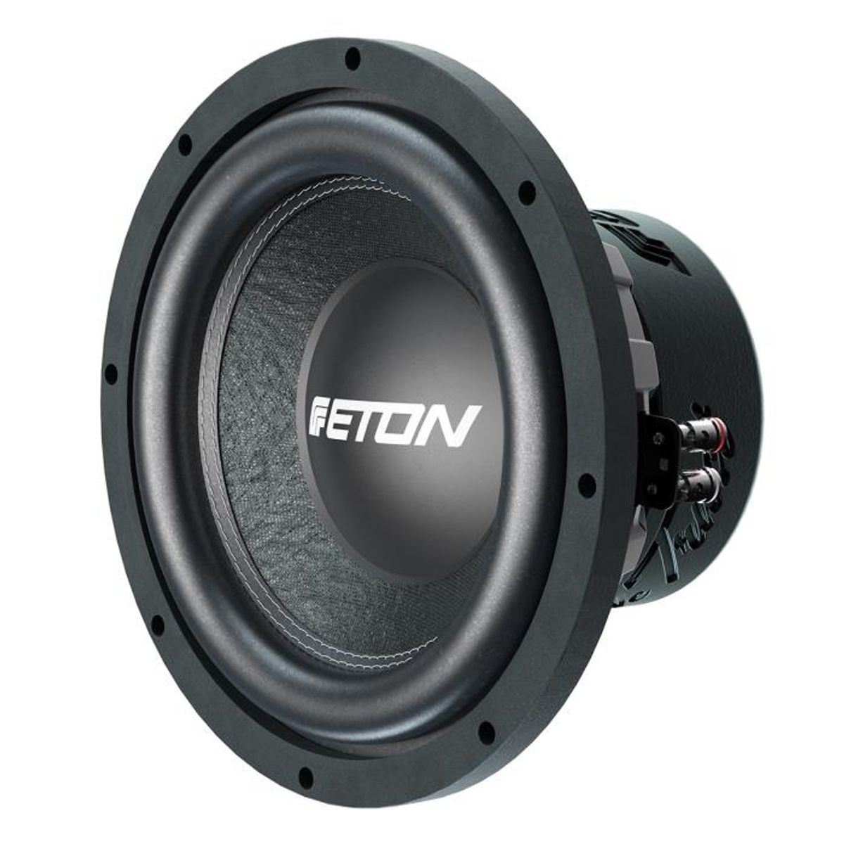 Eton PW10 10” subwoofer 2x2 Ohm 500W RMS